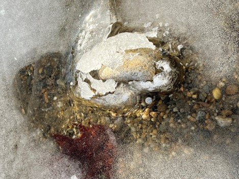 Pebble in ice, Walden Pond