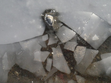 Ice, Walden Pond