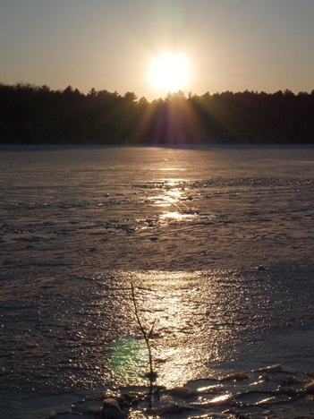Walden Pond