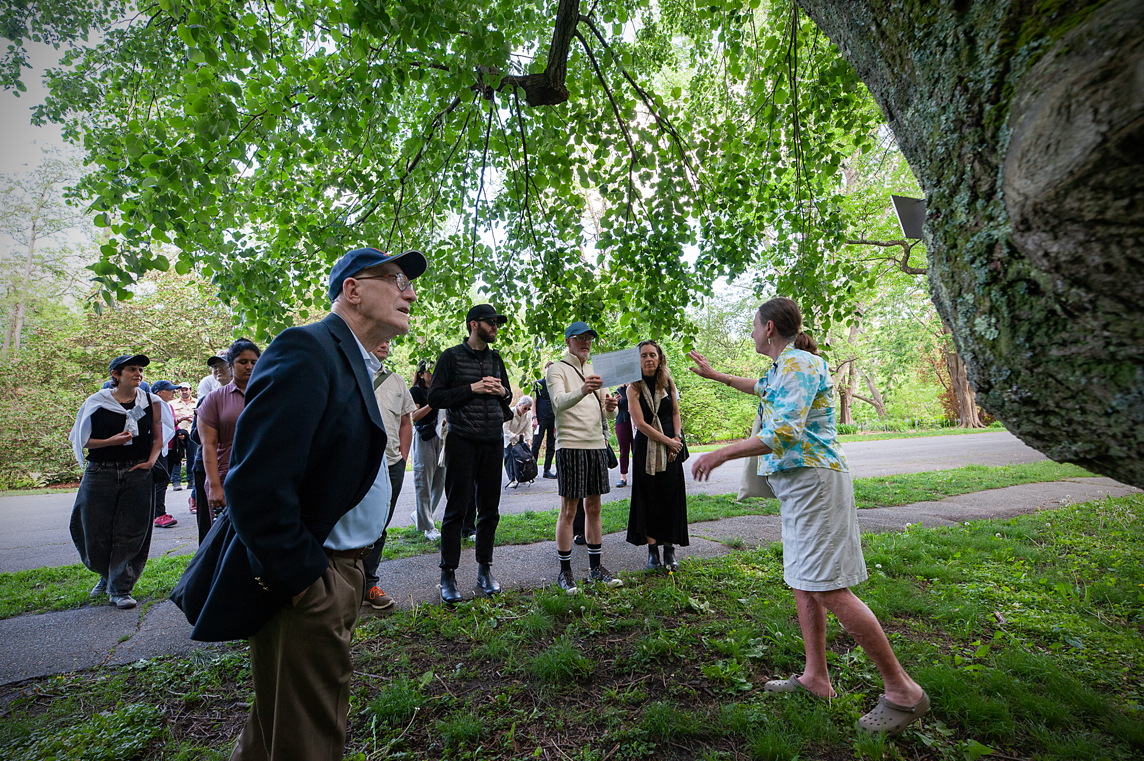 A tour group at Arnold Arboretum