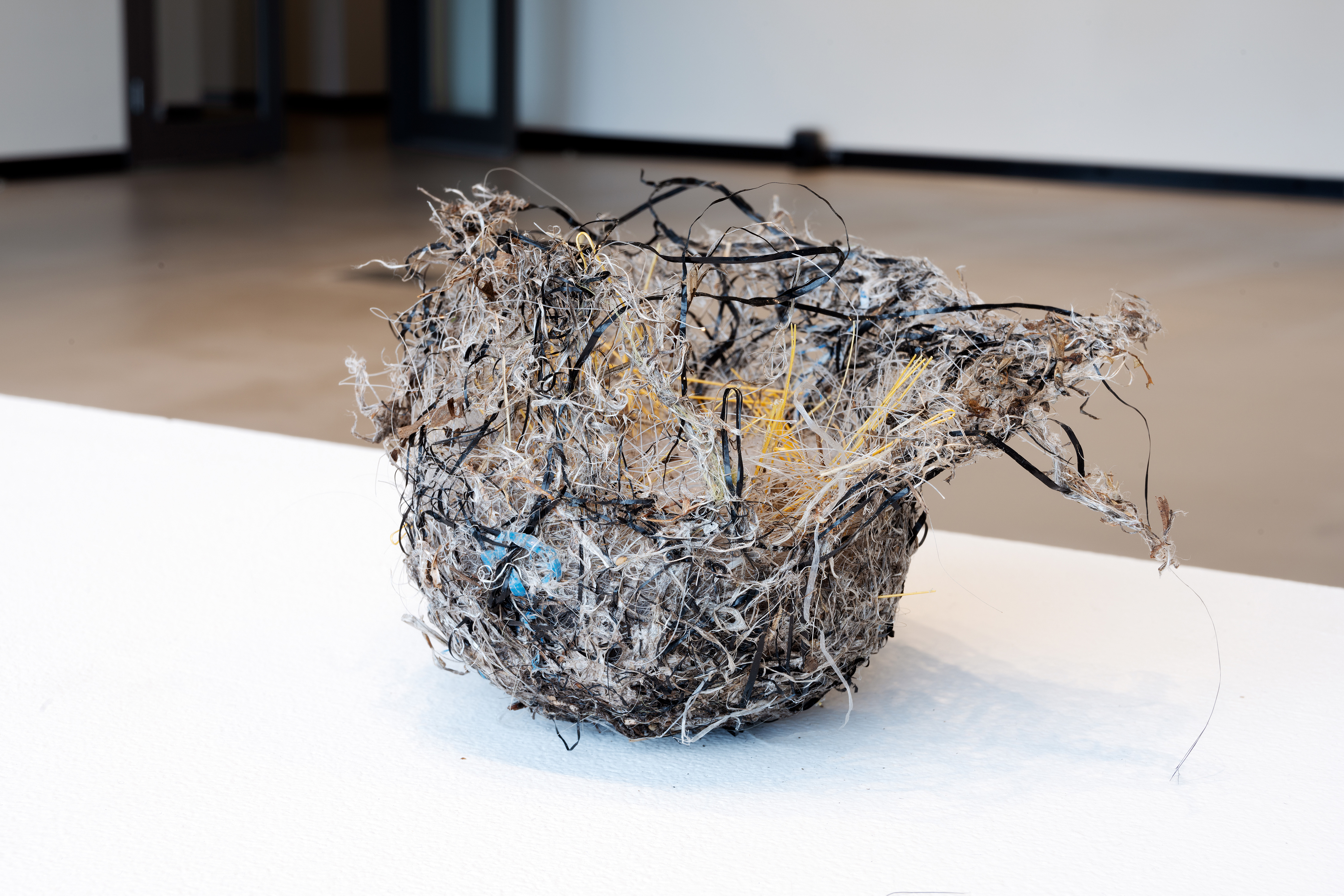 A birds nest on display in art installation