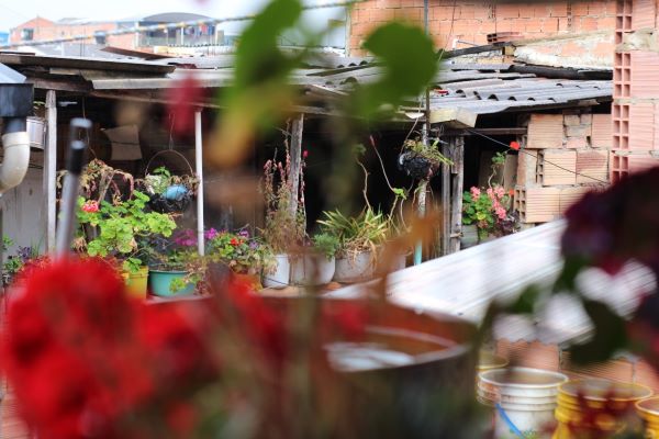 Tin covered overhangs with many potted plants underneath