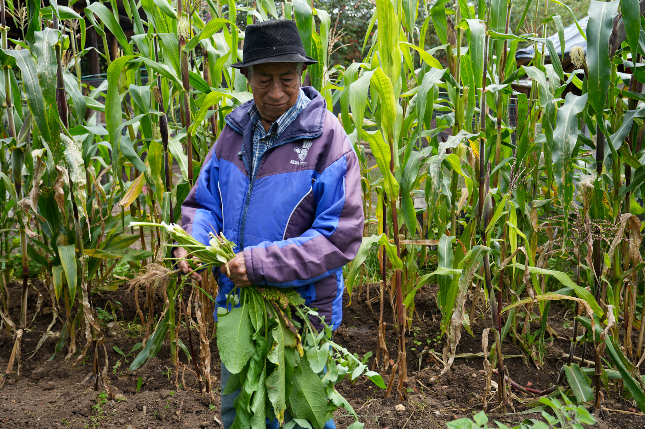 Man standing outside surrounded by plants