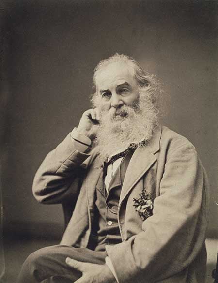 Portrait of Walt Whitman, seated