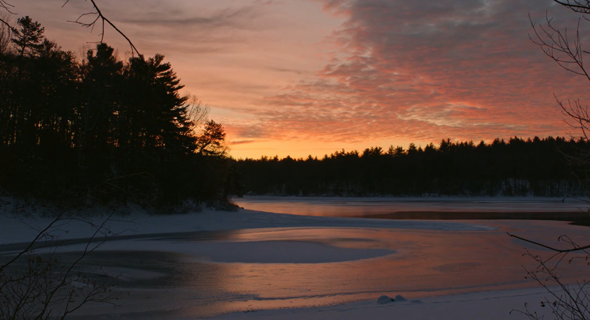 Walden in winter