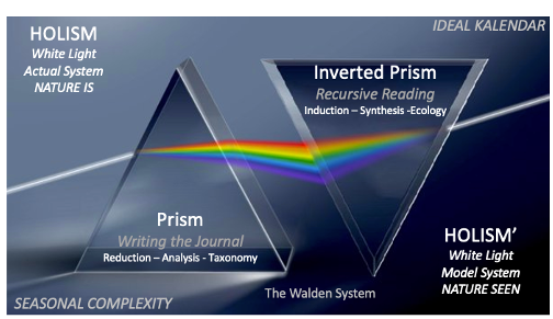 Newtonian optics, Thoreauvian style