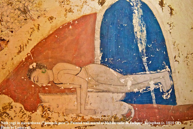 Nāth yogī in mayūrāsana (“peacock pose”)