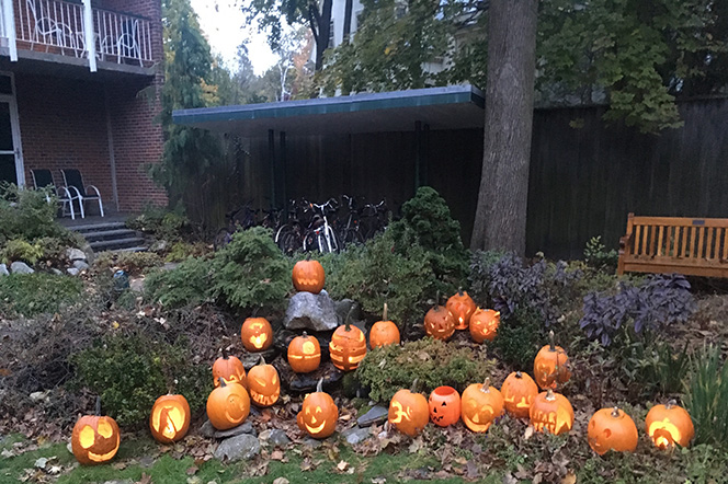 Photo of carved pumpkins in the CSWR courtyard.