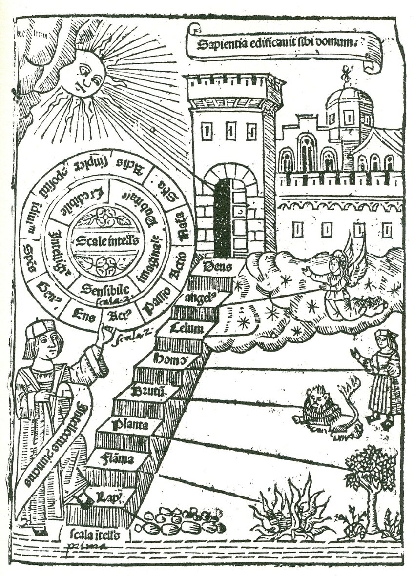 The Scala naturae