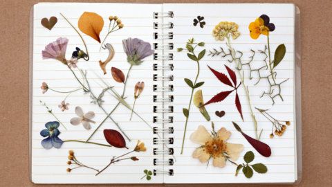 Lined notebook laying flat with images of flower stems