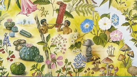 Artistic painting of flowers, people smoking a pipe, mushrooms