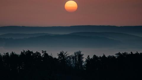Sunrise over a forest