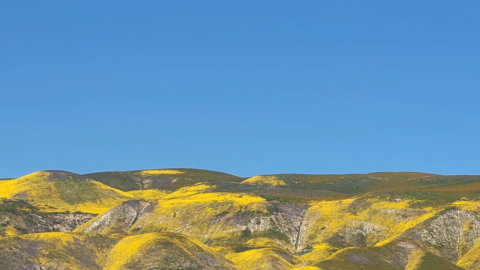 Carrizo Plain