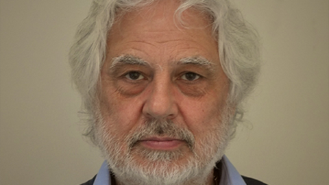 Laurie Morrocco