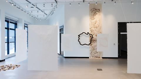 Phantom Tree Art Exhibition