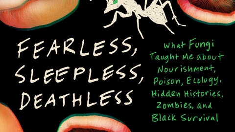 Cover of book Fearless, Sleepless, Deathless by Maria Pinto