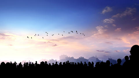 Fading light in the sky, clouds, treeline and birds in the far distance.