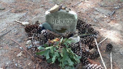 Thoreau grave