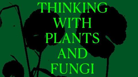 TWPF cover
