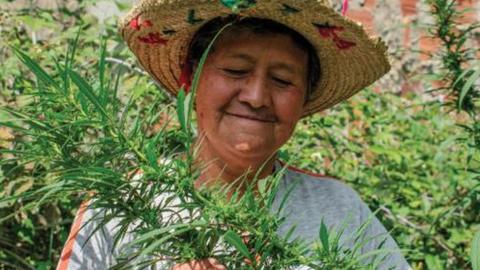 Photo of a Muysca elder
