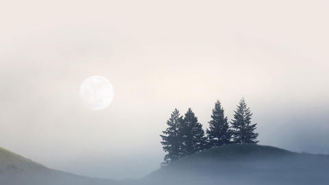 Fog on hillside, moon in the background, pines in the foreground