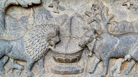 depiction of ahimsa, non-violence. lion and sheep at a fountain