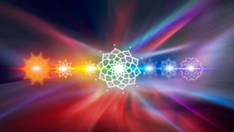 Abstract image of figures like stars and flowers in varied shades of colors
