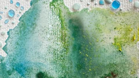 Water and moss on a page