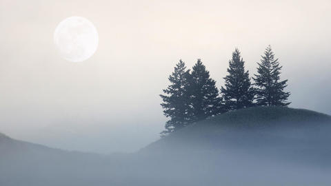 Image of trees