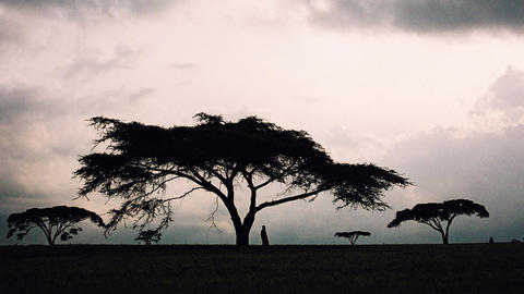Image of an African landscape