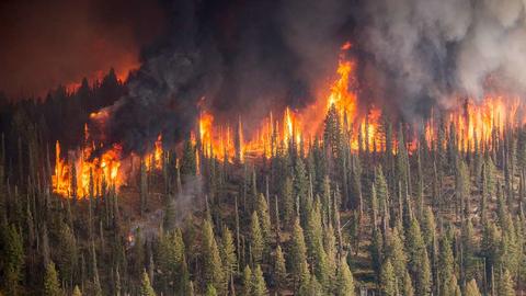 Wildfire in Idaho