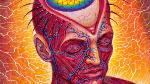 Artist rendering of a human head with an eye image at the top of the skull
