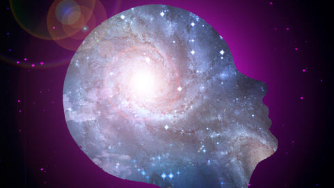Artistic Rendition of the profile of the human head