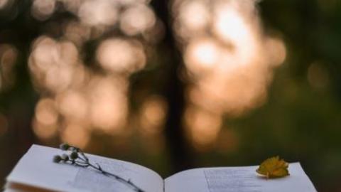 Photo of an open book with flower and leaf lain on the page