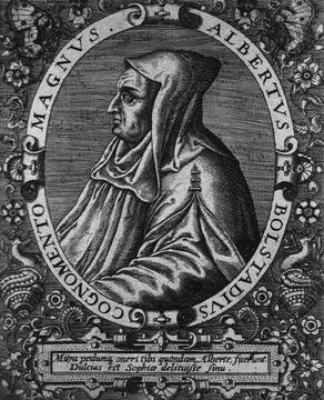 Portrait of Albert the Great