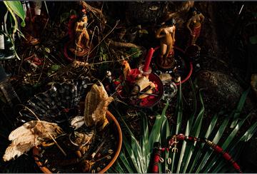 Various items including bird feathers, candles, plant fronds 