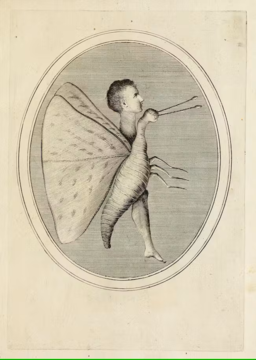 Ink drawing of a man's head in profile with moth wings and a snail's body
