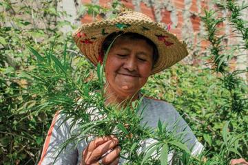 Woman in straw hat holding a plant