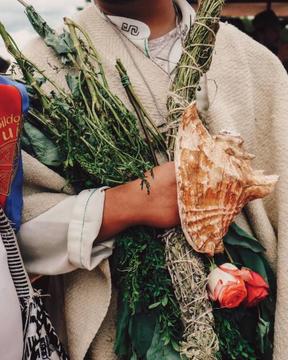 Man in white shirt holding a conch and plants