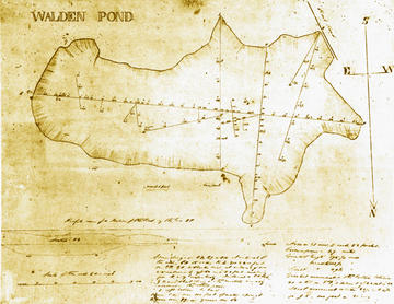 Walden Pond Manuscript Survey, ink on paper