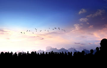 Fading light in the sky, clouds, treeline and birds in the far distance.