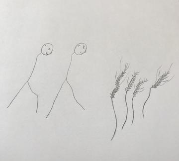 Jane Bennett's drawing of nodding rye