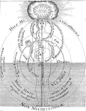 Diagram of the harmonic body from Robert Fludd’s Utriusque cosmi  historia (1617).