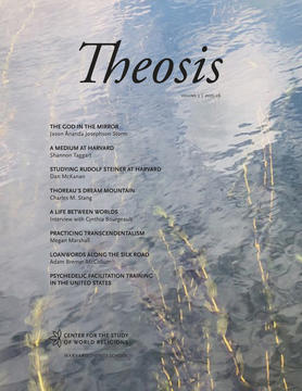 cover of Theosis 3