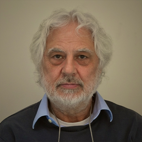 Laurie Morrocco
