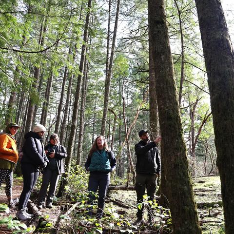 BC field trip participants in the forest