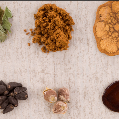 Various forms of natural psychedelics; seeds, mushrooms, powders