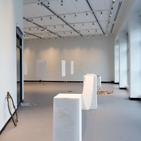 Art exhibition installation