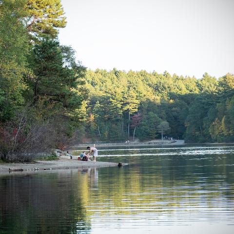 Walden Pond