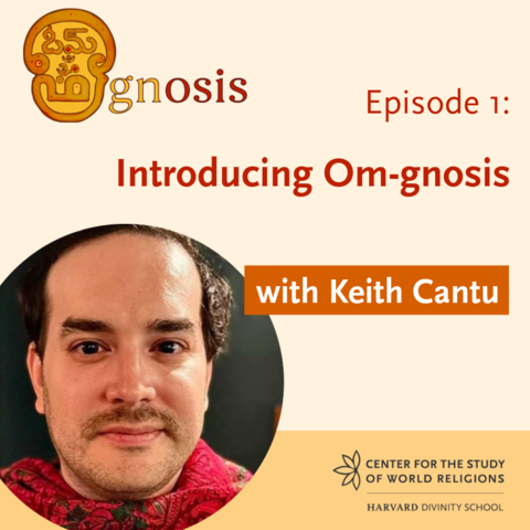 Title card with Episode 1: Introducing Om-gnosis